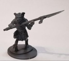 FG Gnolls ShamanWithSpear